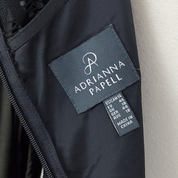 Adrianna Papell Lace Chiffon Scalloped Shift Dress - Picture 13 of 16